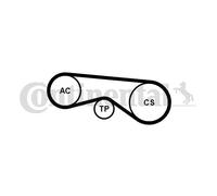 CONTINENTAL CTAM 5PK865K1 Kit Cinghie Poly-V per BMW
