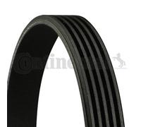 CONTINENTAL CTAM 5PK869 Cinghia Scanalata per Chevrolet, Daewoo, Fso, Subaru,
