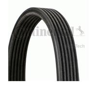Continental CTAM 6DPK1195 Cinghia A V Denti Per Skoda Seat VW Audi Ford
