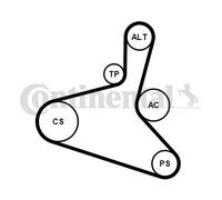 CONTINENTAL CTAM 6DPK1195K2 Kit Cinghie Poly-V per AUDI,FORD,SEAT,SKODA,VW