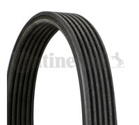 Contitech 6 DPK 1697 Cinghie Trapezoidale