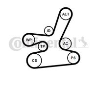 CONTINENTAL CTAM 6DPK1817K1 Kit Cinghie Poly-V per BMW