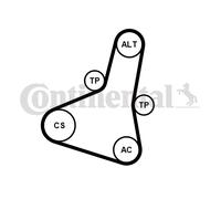 CONTINENTAL CTAM 6PK1004 EXTRA K1 Kit Cinghie Poly-V per CITROËN,DS,PEUGEOT