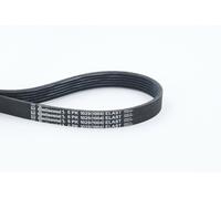 CONTINENTAL CTAM cinghia Poly-V 6PK1029ELAST 6PK1029 6 nervature 1.029 mm