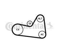 CONTINENTAL CTAM 6PK1033K1 Kit Cinghie Poly-V per AUDI,CUPRA,SEAT,SKODA,VW
