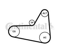 Kit cinghia trapezoidale multirighe con rullo tenditore 6PK1045K4 per PEUGEOT DS