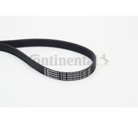 ContiTech Cinghia trapezoidale multirighe 6PK1059 ELAST Poly-V CTAM per Ford, Volvo