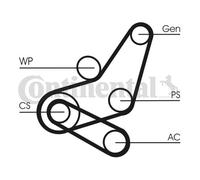 RIDEX 542R0033 Kit Cinghie Poly-V per FORD Focus II Schrägheck (DA, HCP, DP)