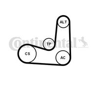CONTINENTAL CTAM 6PK1070K5 Kit Cinghie Poly-V per CITROËN,DS,OPEL,PEUGEOT,VAUXHA