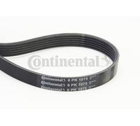 CONTITECH 6 PK 1075 Cinghie Trapeiz