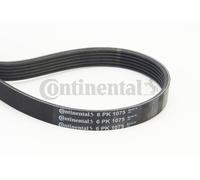 CONTINENTAL CTAM 6PK1075 Cinghia Scanalata per Honda, Lancia, Mercedes-Benz,