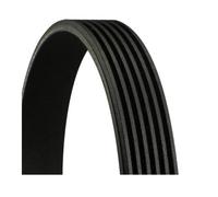 Continental CTAM 6PK1098 EXTRA Cinghia A Vite Per Honda HR-V Jazz IV