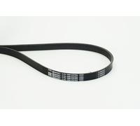 CONTINENTAL CTAM 6PK1098 EXTRA Cinghia Poly-V per HONDA