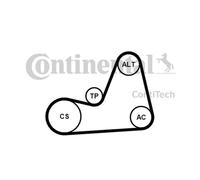 Continental Ctam 6PK1100K1 Set Cinghia Scanalata per VW Caddy Skoda Octavia Seat