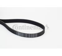 CONTITECH 6PK1120 EXTRA Cinghia servizi