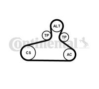 CONTITECH 6PK1120 EXTRA K1 Kit Cinghie Poly-V