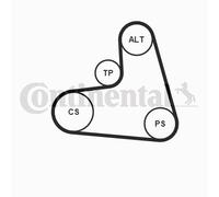 CONTINENTAL CTAM 6PK1120K1 Kit Cinghie Poly-V per AUDI,SEAT,SKODA,VW