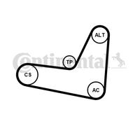 CONTINENTAL CTAM 6PK1130K3 Kit Cinghie Poly-V per AUDI,SEAT,SKODA,VW
