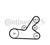 CONTITECH 6PK1145K4 Kit Cinghie Poly-V