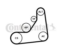 CONTINENTAL CTAM 6PK1153K5 Kit Cinghie Poly-V per BMW