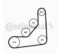 CONTINENTAL CTAM 6PK1165K1 Kit Cinghie Poly-V per BMW