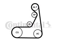 CONTINENTAL CTAM 6PK1173K1 Kit Cinghie Poly-V per BMW,MINI