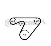 CONTINENTAL CTAM 6PK1180WP2 Pompa acqua + Kit cinghia Poly V per ALFA ROMEO,FIAT