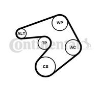 CONTINENTAL CTAM 6PK1205K1 Kit Cinghie Poly-V per OPEL,VAUXHALL