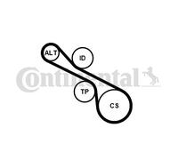 CONTITECH 6PK1230K1 Kit Cinghie Poly-V