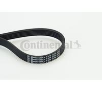 CONTINENTAL CTAM 6PK1270 Cinghia Poly-V per FORD Sierra, VOLVO 480, VOLVO 960