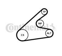 CONTINENTAL CTAM 6PK1306WP1 Pompa acqua + Kit cinghia Poly V per FORD,VOLVO