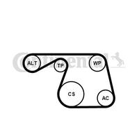 CONTINENTAL CTAM 6PK1310WP1 Pompa acqua + Kit cinghia Poly V per FIAT,LANCIA