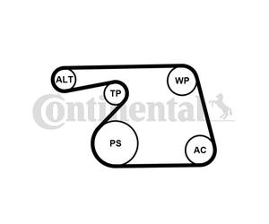 CONTINENTAL CTAM 6PK1318WP1 Pompa acqua + Kit cinghia Poly V per FIAT,OPEL,SUZUK