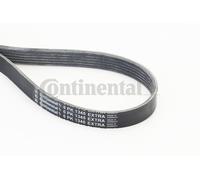CONTINENTAL CTAM 6PK1345 EXTRA Cinghia Scanalata per Alfa Romeo, Fiat, Jeep ,