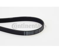 CONTINENTAL CTAM 6PK1390 Cinghia Poly-V per CHEVROLET,CHRYSLER,CITROËN,FIAT,FORD