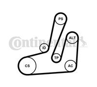 CONTINENTAL CTAM 6PK1390K1 Kit Cinghie Poly-V per CITROËN,FIAT,PEUGEOT