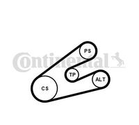 CONTINENTAL CTAM 6PK1453K1 Kit Cinghie Poly-V per CITROËN,PEUGEOT