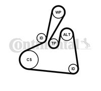 CONTINENTAL CTAM 6PK1502 EXTRA K2 Kit Cinghie Poly-V per FORD