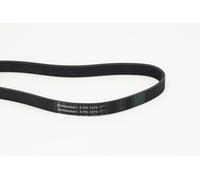 CONTINENTAL CTAM 6PK1570 Cinghia Poly-V per AUDI,BMW,CHRYSLER,DODGE,FORD,KIA,SEA
