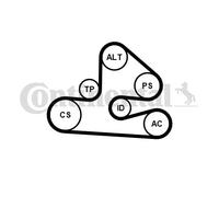 CONTINENTAL CTAM 6PK1570K1 Kit Cinghie Poly-V per AUDI,SEAT