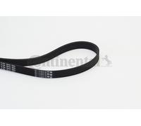 CONTITECH 6PK1642 Cinghia servizi