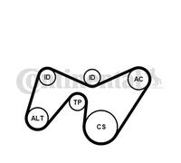 CONTINENTAL CTAM 6PK1642K2 Kit Cinghie Poly-V per FORD