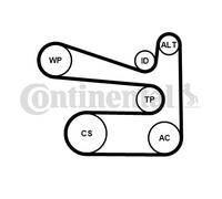 CONTINENTAL CTAM 6PK1693WP1 Pompa acqua + Kit cinghia Poly V per AUDI,SEAT,SKODA