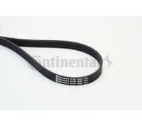 Contitech 6 PK 1698 Cinghie Trapezoidale