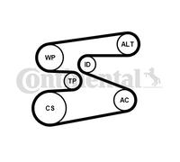 CONTINENTAL CTAM 6PK1698WP1 Pompa acqua + Kit cinghia Poly V per BMW