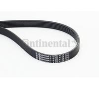 CONTINENTAL CTAM 6PK1715 Cinghia Poly-V per BMW,CHEVROLET,CITROËN,DODGE,FORD,FOR