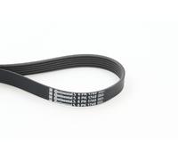 CONTINENTAL CTAM 6PK1740 Cinghia Poly-V per ALFA ROMEO,CHRYSLER,CITROËN,FIAT,FOR