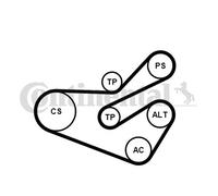 CONTITECH 6PK1740K3 Kit Cinghie Poly-V