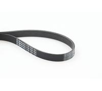 CONTINENTAL CTAM 6PK1750 Cinghia Poly-V per ALFA ROMEO,CITROËN,DODGE,FIAT,FORD,J