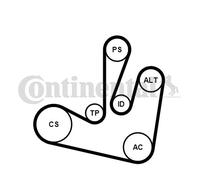 CONTINENTAL CTAM 6PK1750K2 Kit Cinghie Poly-V per RENAULT